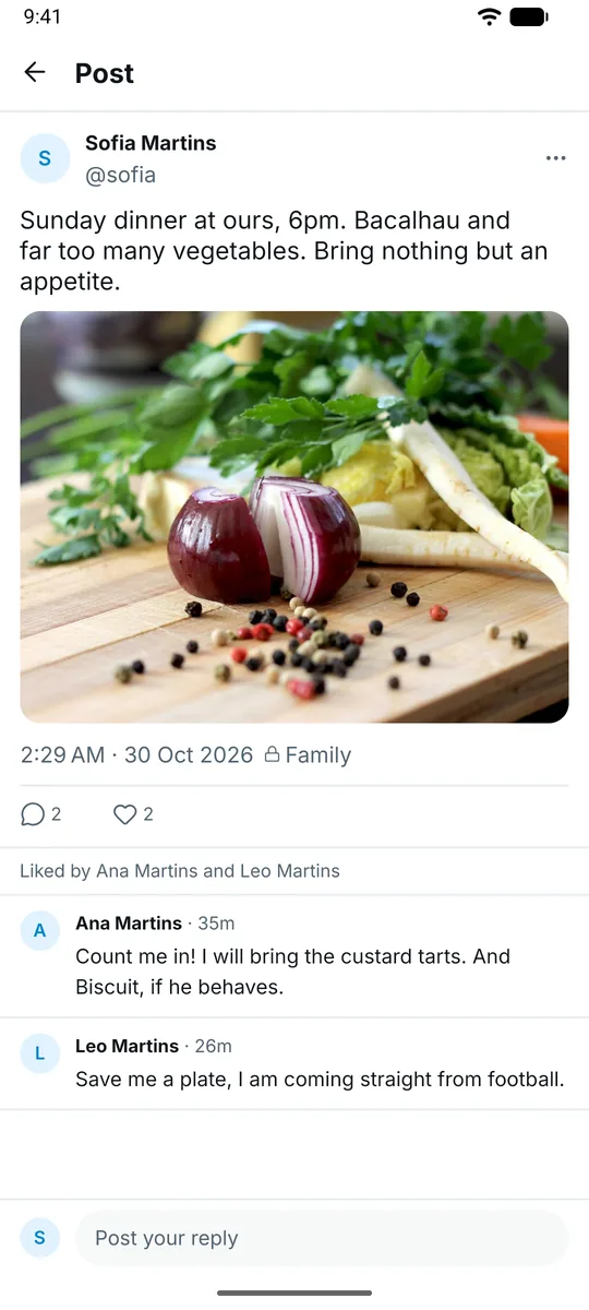 A post with replies and likes from family